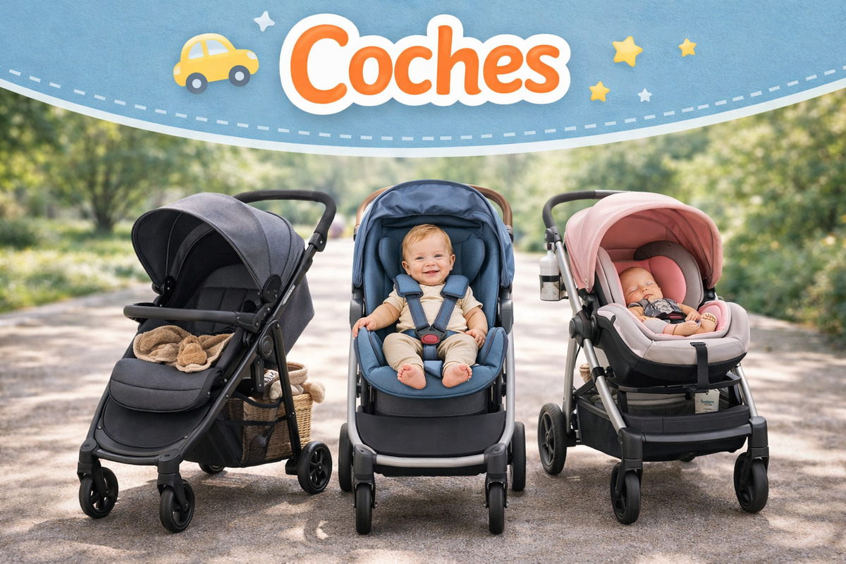 Coches y Paseo